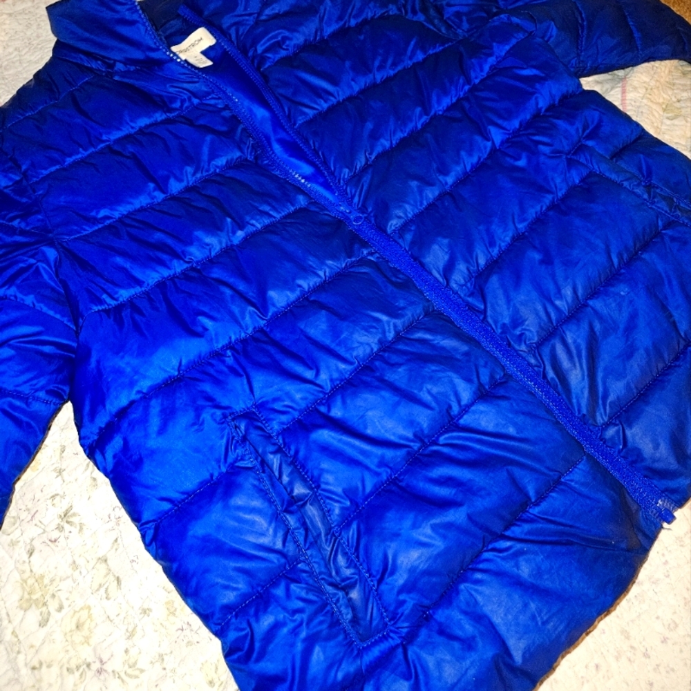 ELECTRIC BLUE NORDSTROM WINTER COAT